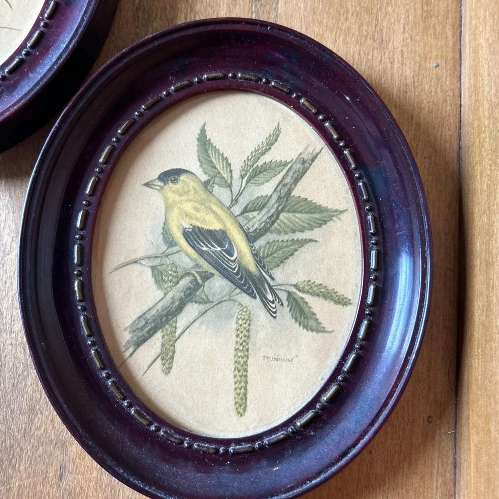 Vintage Bird Prints Goldfinch Oval Thistle Grandma Core P.H Gonner 1960's